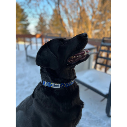 Dog Collar - Small