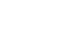 Guild Shop