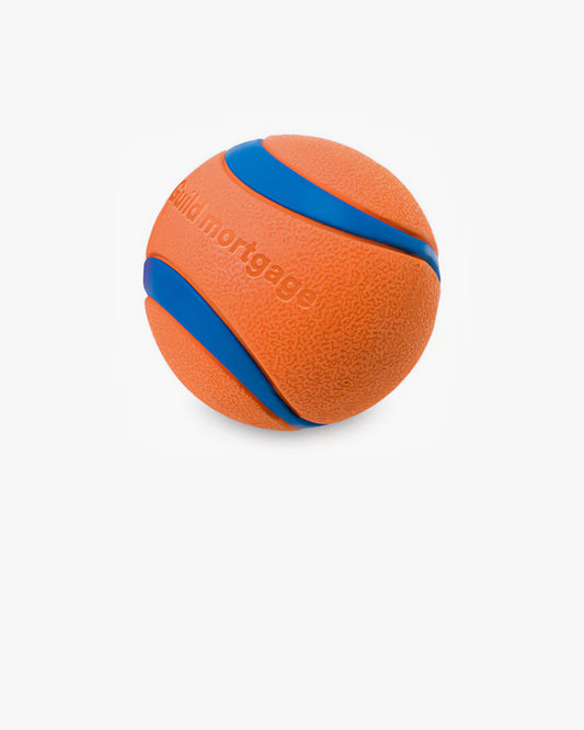 Ultra Ball Dog Toy