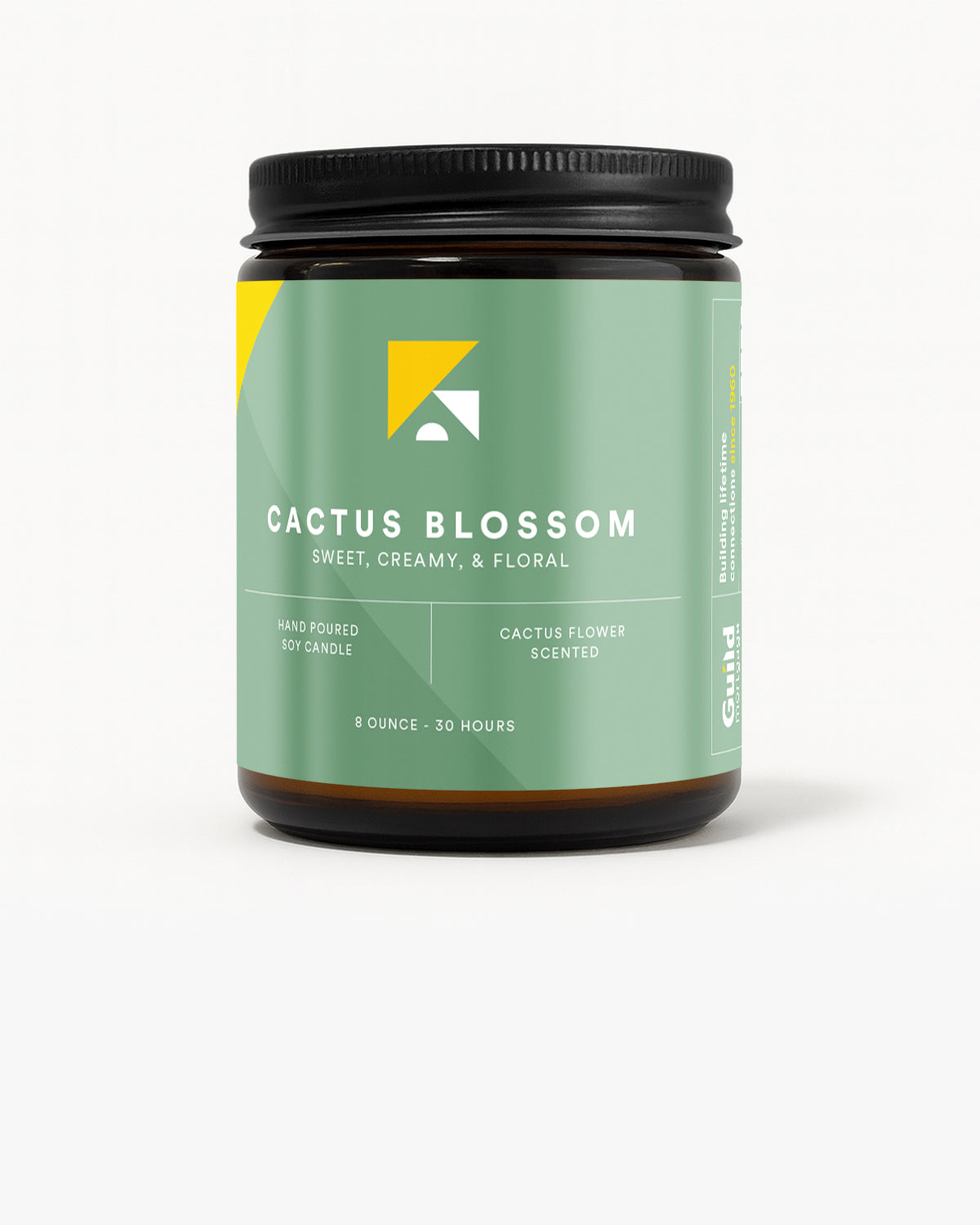 Candle 3-Pack – Rae of Sunshine Collective