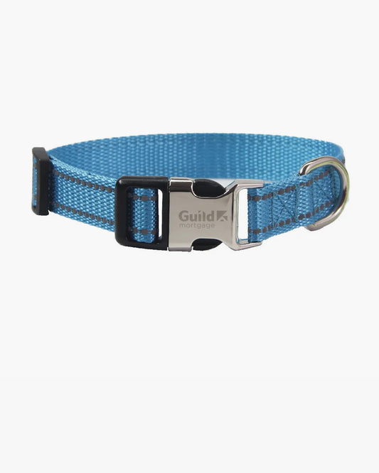 Dog collar with metal buckle