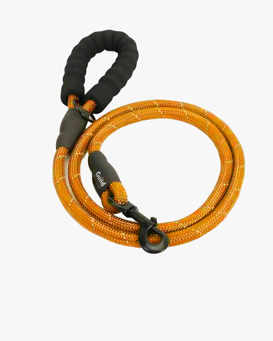 Reflective Dog Leash with Padded Handle